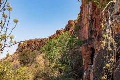 2023-09-Waterberg-NP-008