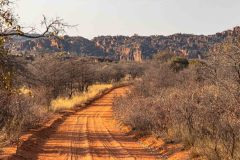 2023-09-Waterberg-NP-045