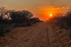 2023-09-Waterberg-NP-148-HDR