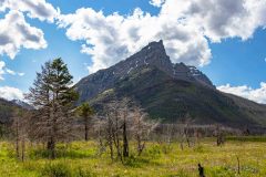 2022-07-Waterton-Lakes-NP-057-HDR