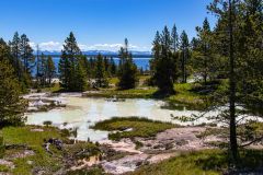 2022-06-Yellowstone-525