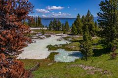 2022-06-Yellowstone-570