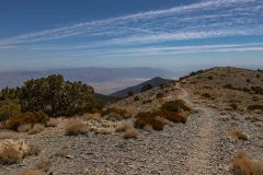 2022-04-Death-Valley-099