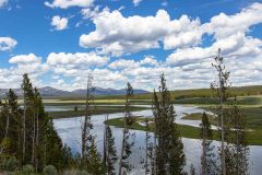 2022-06-Yellowstone-330