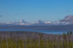 2022-06-Yellowstone-460