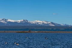 2022-06-Yellowstone-506-Pano