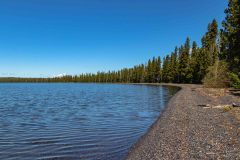 2022-06-Yellowstone-576