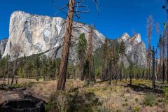 2022-10-Yosemite-NP-086-Pano